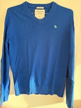 Abercrombie & Fitch Men's V-Neck Sweater in Royal Blue with Green Logo
